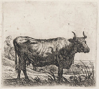 KG 03468
<br/>
Staande koe
<br/>
<em>Cuyp, Aelbert (1620-1691)</em>